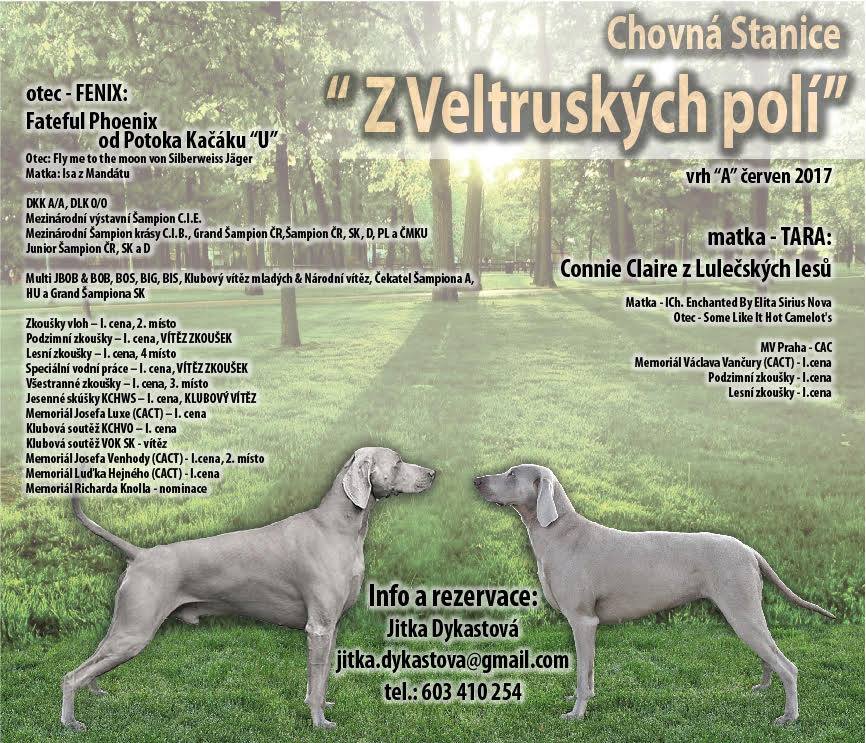 foto3